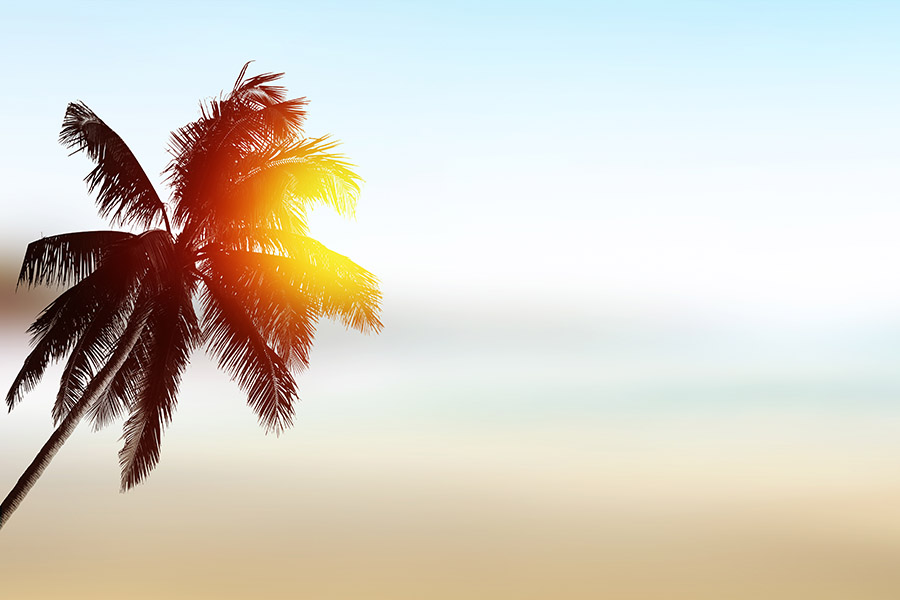 Save up to 15% off Monthly Rental Base Rates Save up to 15% off Monthly Rental Base Rates