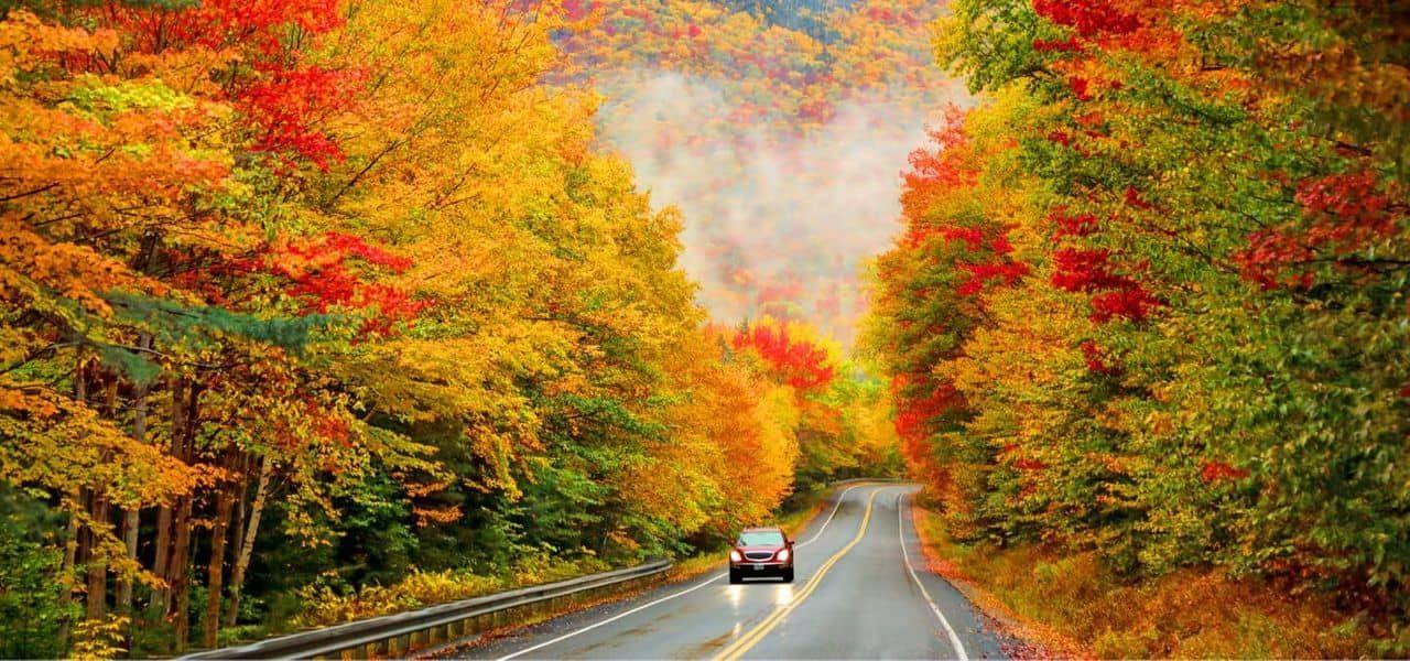 Fall: Pay Now Offer Fall: Pay Now Offer