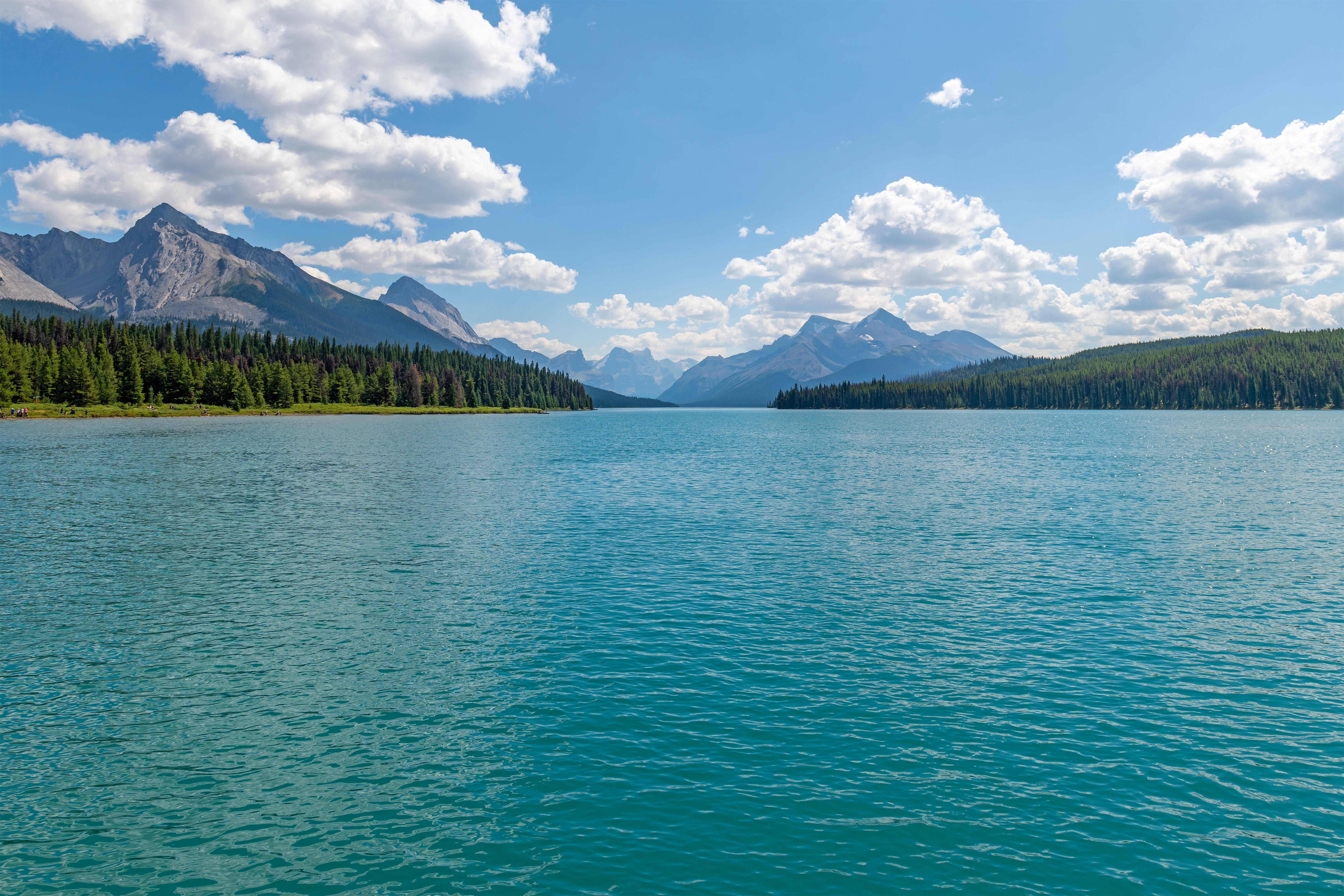 One-way rates starting as low as $50 per day*